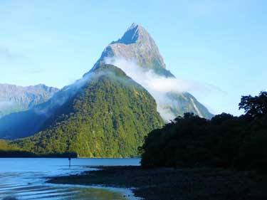 Coromandel  -   Regenwald und Sandstrand