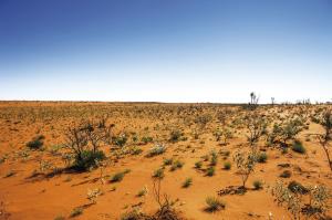 Australien: Canning Stock Route