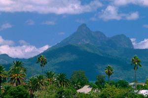 Cairns  -  der tropische Norden