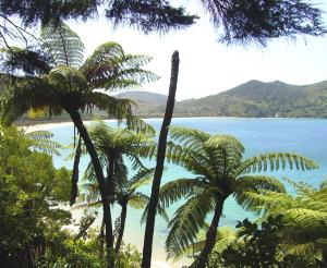 Neuseeland - Aotearoa – Familienabenteuer in Neuseeland Neuseeland - Aotearoa – Familienabenteuer in Neuseeland