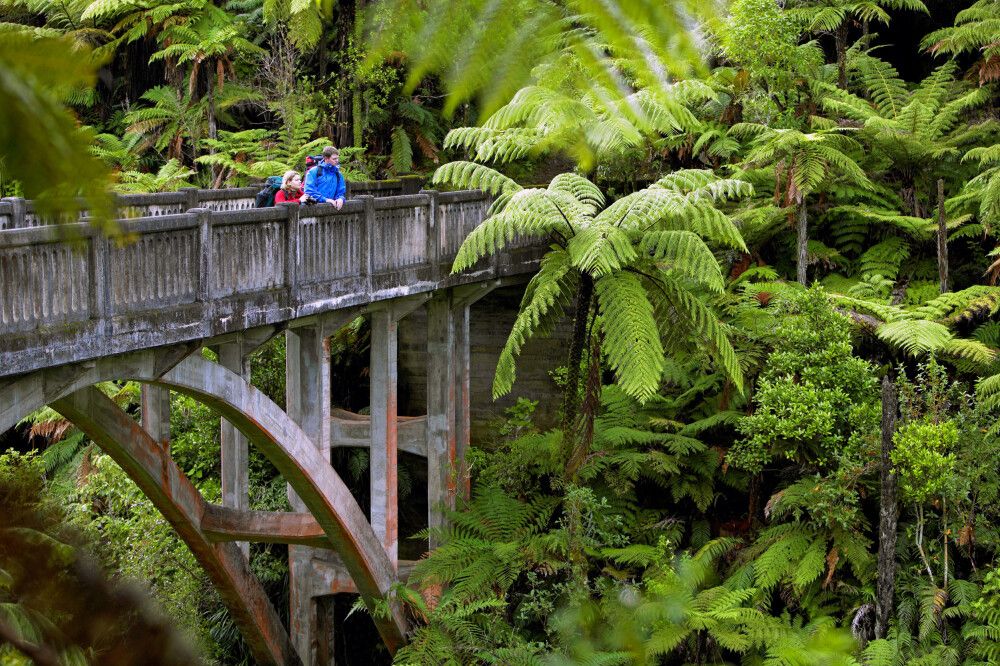 Neuseeland - Natur hautnah erleben