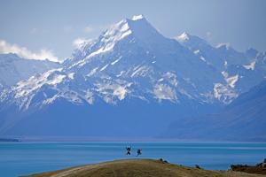Neuseeland - Natur pur am schönsten Ende der Welt