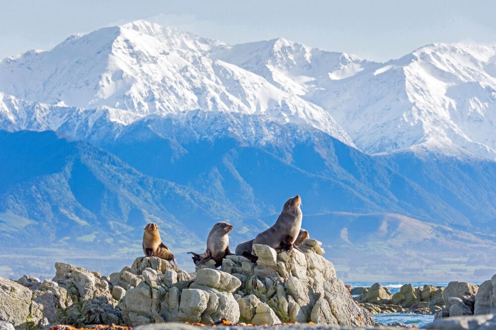 Neuseeland - Naturwunder Neuseelands