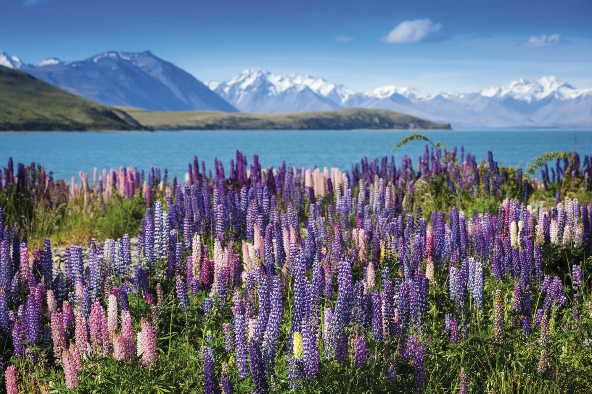 Neuseeland für Entdecker