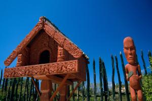 Neuseelandsafari - von Auckland nach Christchurch